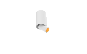 Slide 01